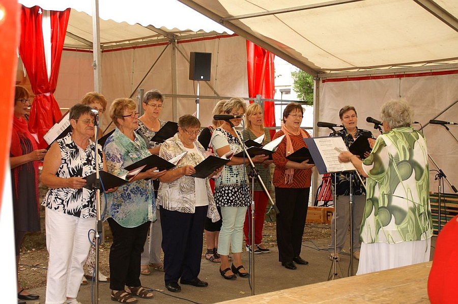 Heimatfest 2014